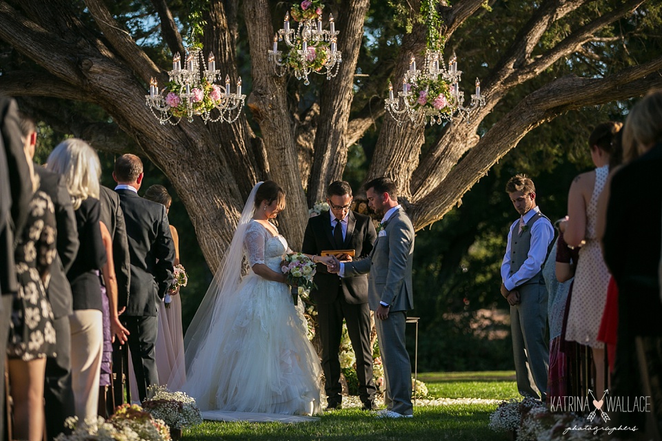 wedding ceremony under a tree at Dancing Apache