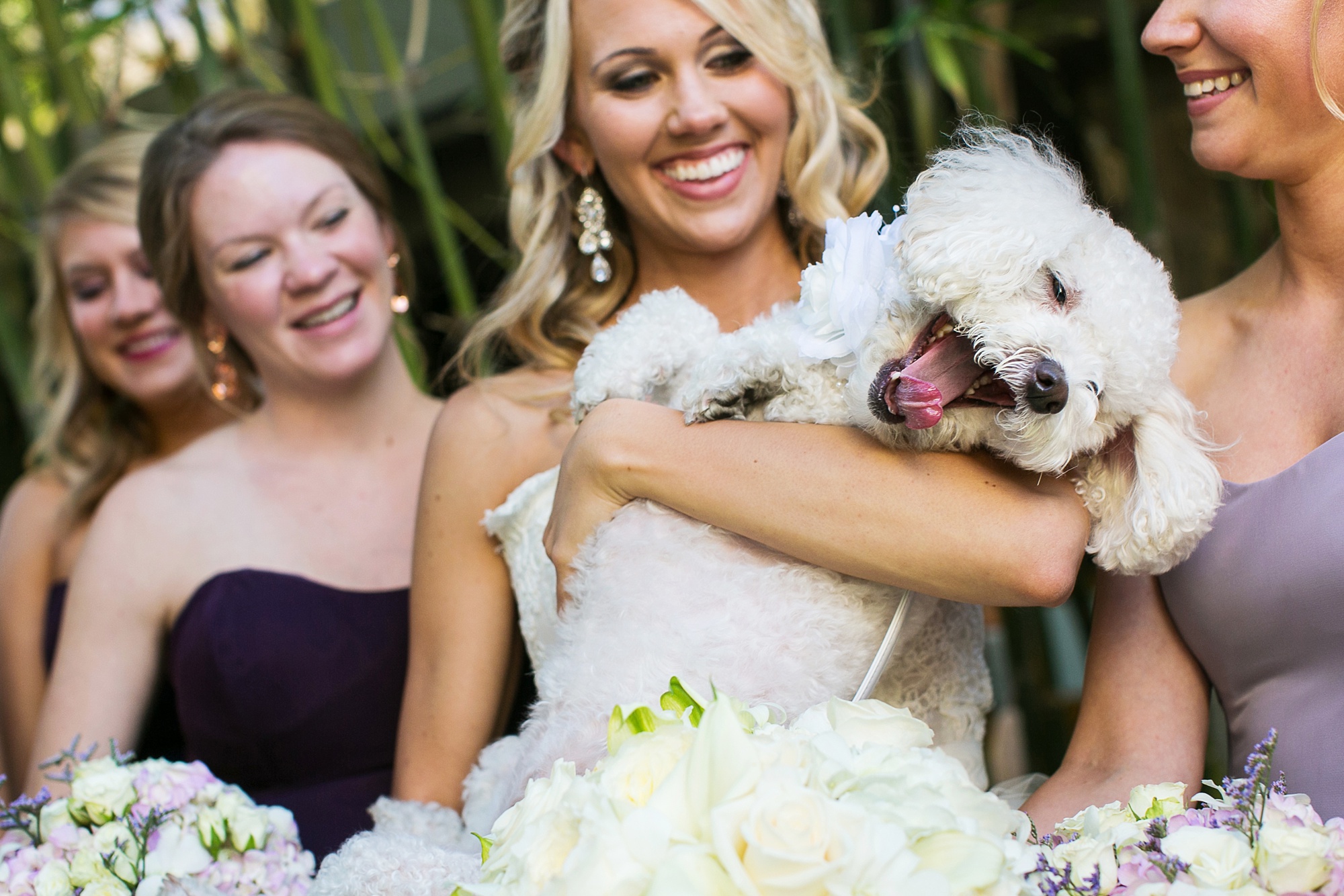 Bride holds a puppy on her wedding day at Sanctuary Resort